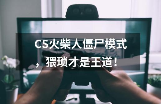 CS火柴人僵尸模式，猥琐才是王道！-第1张-游戏相关-泓泰