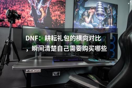 DNF：耕耘礼包的横向对比，瞬间清楚自己需要购买哪些-第1张-游戏相关-泓泰