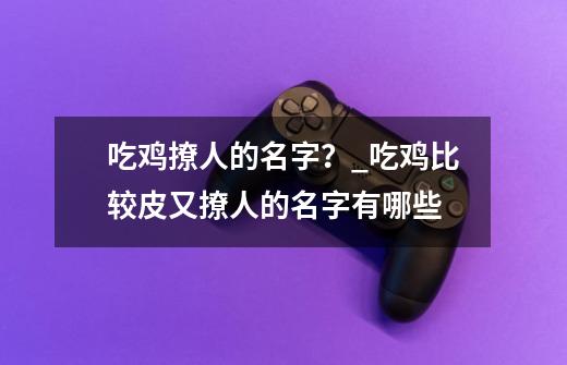 吃鸡撩人的名字？_吃鸡比较皮又撩人的名字有哪些-第1张-游戏相关-泓泰