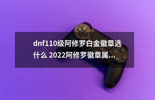 dnf110级阿修罗白金徽章选什么 2022阿修罗徽章属性选择推荐,dnf男散打称号选择-第1张-游戏相关-泓泰