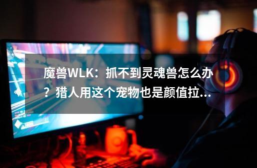 魔兽WLK：抓不到灵魂兽怎么办？猎人用这个宠物也是颜值拉满的-第1张-游戏相关-泓泰