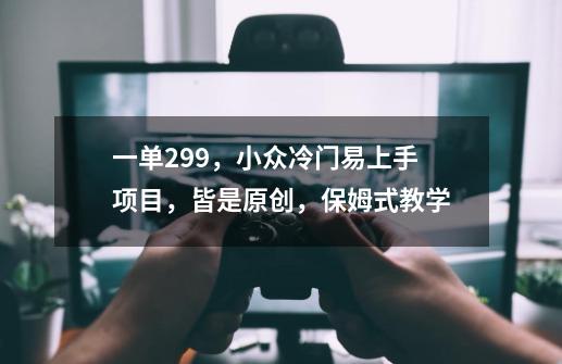 一单29.9，小众冷门易上手项目，皆是原创，保姆式教学-第1张-游戏相关-泓泰