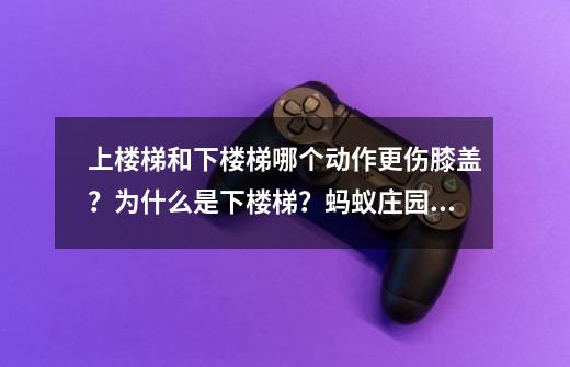 上楼梯和下楼梯哪个动作更伤膝盖？为什么是下楼梯？蚂蚁庄园今日答案-第1张-游戏相关-泓泰