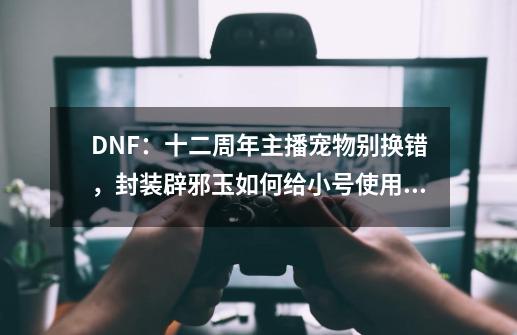 DNF：十二周年主播宠物别换错，封装辟邪玉如何给小号使用？-第1张-游戏相关-泓泰