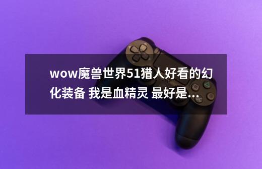 wow魔兽世界5.1猎人好看的幻化装备 我是血精灵 最好是黑或者紫~_魔兽猎人幻化推荐-第1张-游戏相关-泓泰