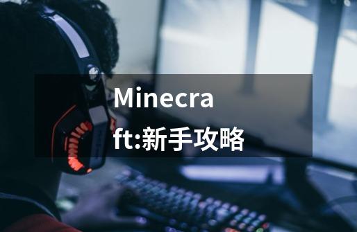 Minecraft:新手攻略-第1张-游戏相关-泓泰