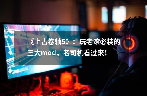 《上古卷轴5》：玩老滚必装的三大mod，老司机看过来！-第1张-游戏相关-泓泰