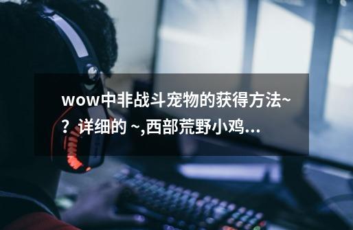 wow中非战斗宠物的获得方法~？详细的 ~,西部荒野小鸡任务命令-第1张-游戏相关-泓泰