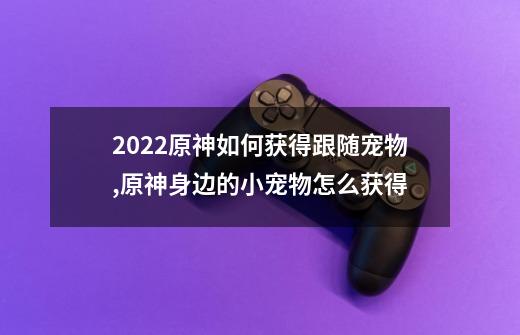 2022原神如何获得跟随宠物,原神身边的小宠物怎么获得-第1张-游戏相关-泓泰