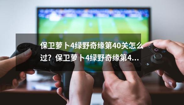 保卫萝卜4绿野奇缘第40关怎么过？保卫萝卜4绿野奇缘第40关攻略-第1张-游戏相关-泓泰