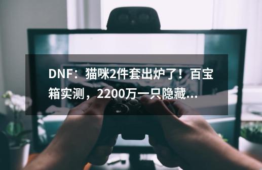 DNF：猫咪2件套出炉了！百宝箱实测，2200万一只隐藏宠物-第1张-游戏相关-泓泰