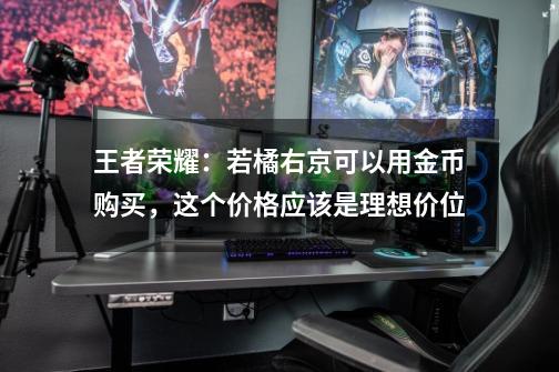 王者荣耀：若橘右京可以用金币购买，这个价格应该是理想价位-第1张-游戏相关-泓泰