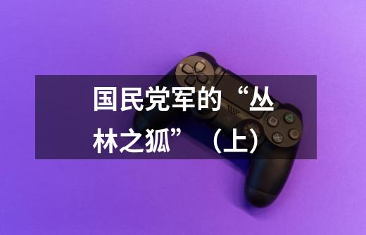 国民党军的“丛林之狐”（上）-第1张-游戏相关-泓泰