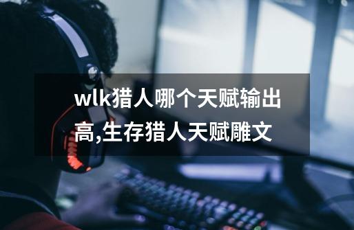 wlk猎人哪个天赋输出高,生存猎人天赋雕文-第1张-游戏相关-泓泰