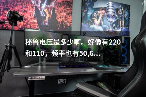 秘鲁电压是多少啊。好像有220和110，频率也有50,60赫兹两种。我们卖变频器到那边，必须要知道电压的._dota2假赛泛滥-第1张-游戏相关-泓泰