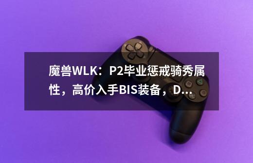 魔兽WLK：P2毕业惩戒骑秀属性，高价入手BIS装备，DPS全职业垫底-第1张-游戏相关-泓泰